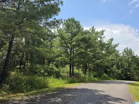 hickory hill road, Centreville, AL 35042