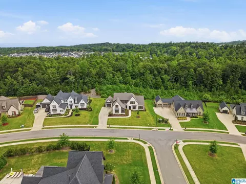 View/Area - 2949 Blackridge Pl, Hoover, AL 35244 photo 1 of 7