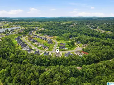 View/Area - 2949 Blackridge Pl, Hoover, AL 35244 photo 4 of 7
