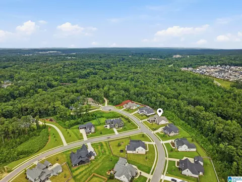 View/Area - 2949 Blackridge Pl, Hoover, AL 35244 photo 3 of 7