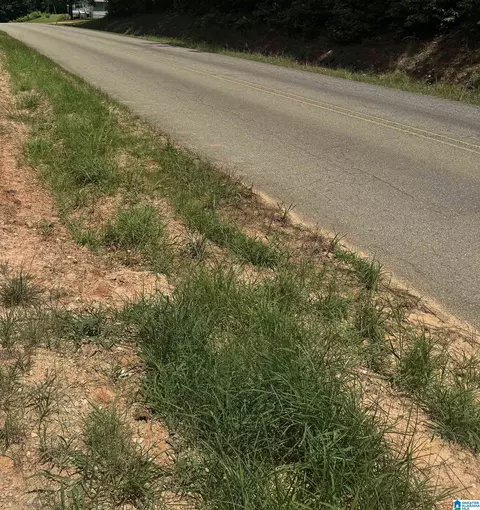 0 County Road 61 #7 & 8, Fruithurst, AL 36262 photo 5
