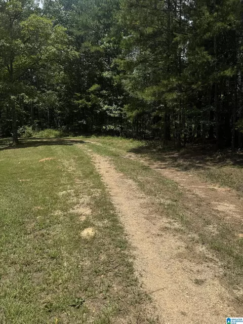 0 County Road 61 #7 & 8, Fruithurst, AL 36262 photo 3