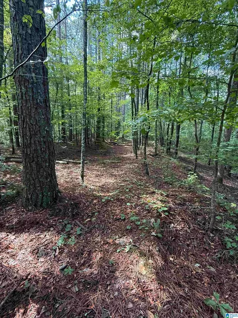 0 County Road 61 #7 & 8, Fruithurst, AL 36262 photo 15