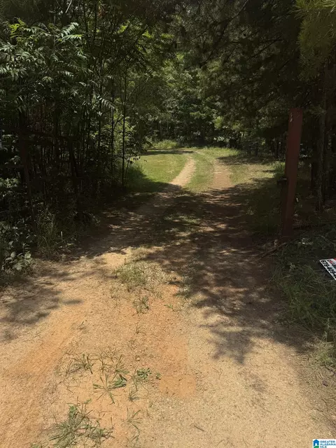 0 County Road 61 #7 & 8, Fruithurst, AL 36262 photo 2