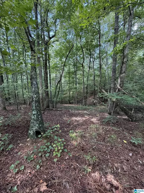 0 County Road 61 #7 & 8, Fruithurst, AL 36262 photo 14