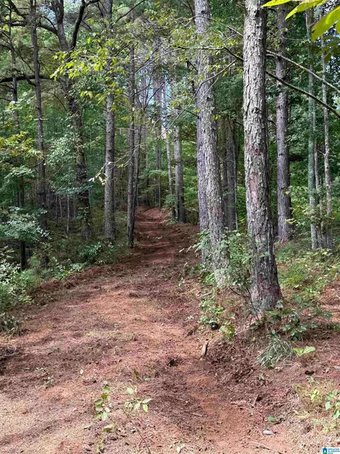 0 County Road 61 #7 & 8, Fruithurst, AL 36262 photo 6