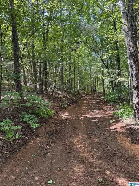 0 County Road 61 #7 & 8, Fruithurst, AL 36262 photo 8