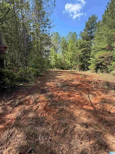 0 County Road 61 #7 & 8, Fruithurst, AL 36262 photo 11