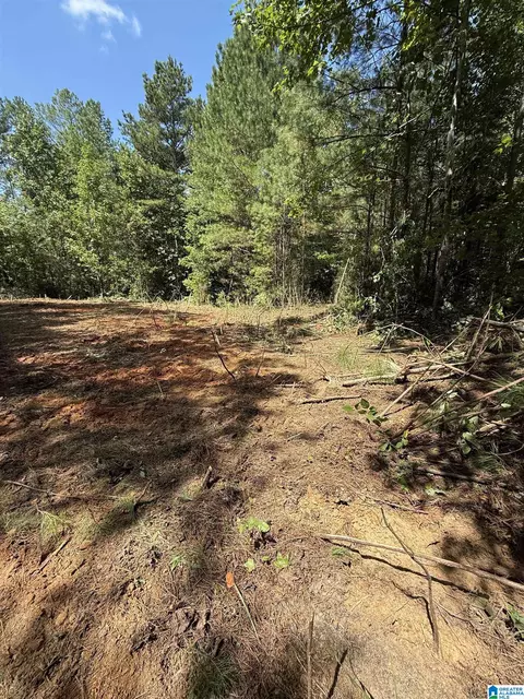 0 County Road 61 #7 & 8, Fruithurst, AL 36262 photo 12