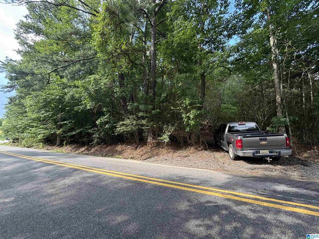 140 Lister Dr #3.98 ACRES, Pell City, AL 35125