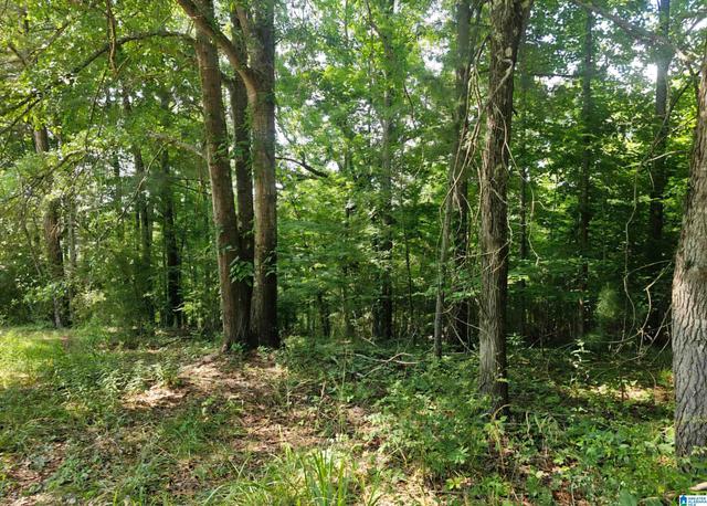 275 Miller St #76, Margaret, AL 35120