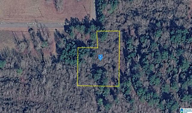 115 Denise St #-, Bridgeport, AL 35740