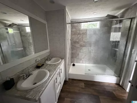 Bath - 49 Base St, Midland City, AL 36350 photo 3 of 4