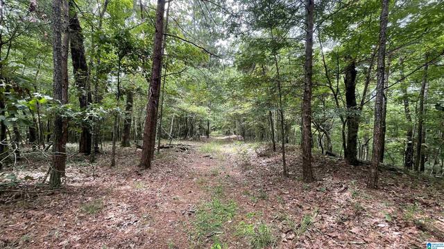 5020 Laurel Lakes Ter #0, Bessemer, AL 35022