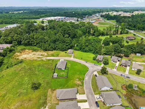 View/Area - 1004 Spring View Ln, Clanton, AL 35045 photo 6 of 7