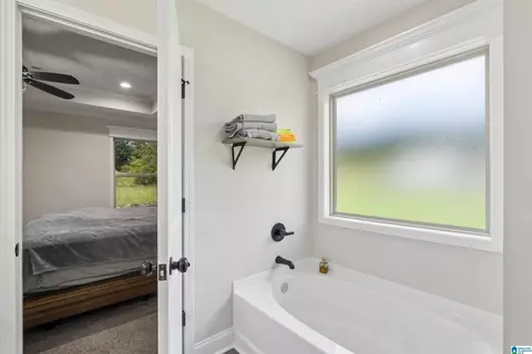 Other - 1004 Spring View Ln, Clanton, AL 35045 photo 3 of 8