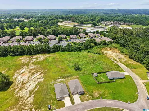 View/Area - 1004 Spring View Ln, Clanton, AL 35045 photo 4 of 7