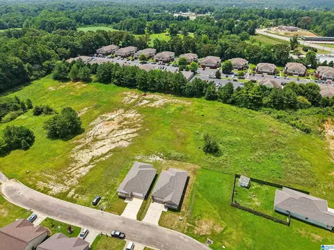 View/Area - 1004 Spring View Ln, Clanton, AL 35045 photo 2 of 7