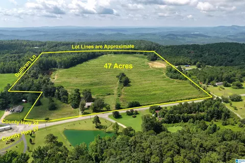 0 County Highway 27 #47, Springville, AL 35146