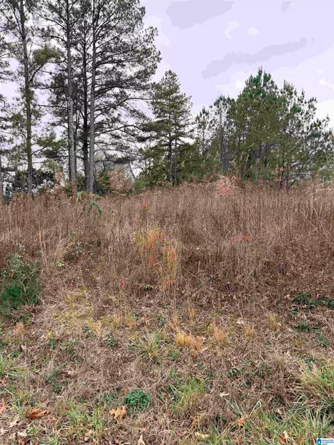 0 Indian Hills Rd #0, Hayden, AL 35079
