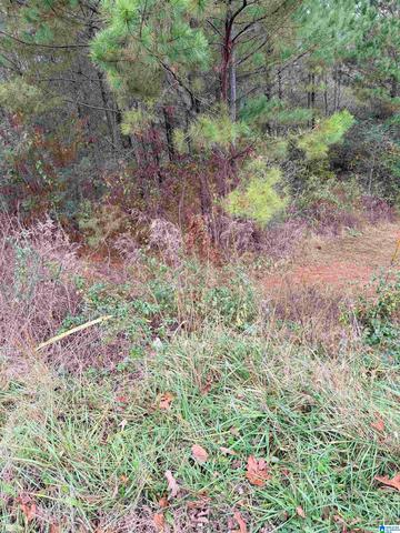 0 Armstrong Loop #0, Hayden, AL 35079