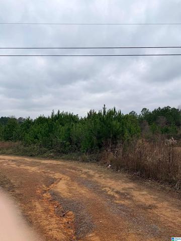 0 Lazy Y Rd #0, Hayden, AL 35079
