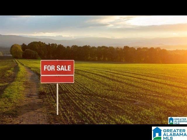 90 Cross Creek Park #1B, Springville, AL 35146