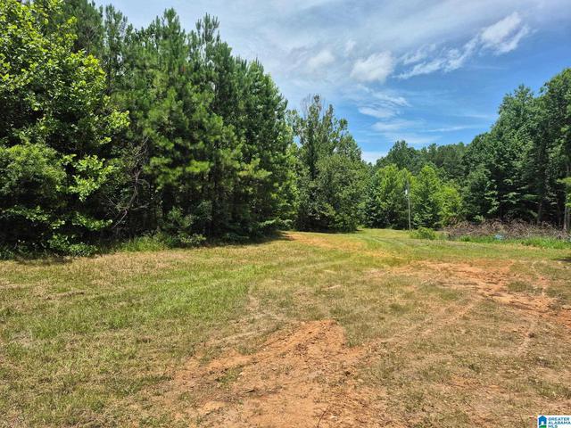 0 County Road 928 #28, Delta, AL 36258
