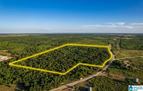 0 County Road 864 #-, Wadley, AL 36276