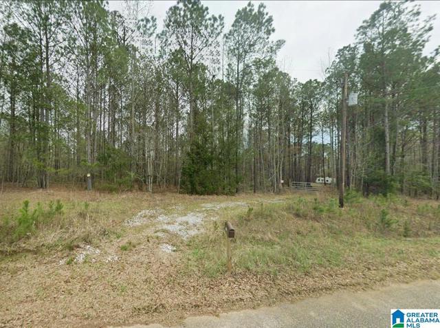 0 County Road 864 #-, Wadley, AL 36276