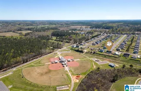 View/Area - 11357 Cedar Glades Dr, Vance, AL 35490 photo 2 of 4