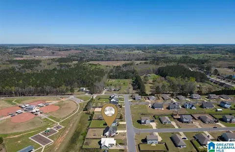 View/Area - 11357 Cedar Glades Dr, Vance, AL 35490 photo 3 of 4