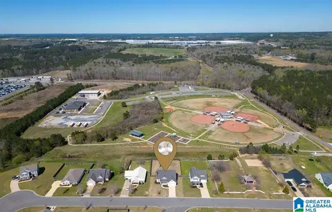 View/Area - 11357 Cedar Glades Dr, Vance, AL 35490 photo 1 of 4