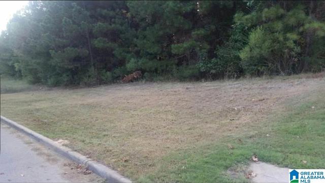 1064 Grande View Pass #1531, Maylene, AL 35114
