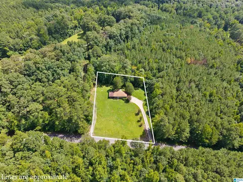 Other - 140 Armstrong Loop, Hayden, AL 35079 photo 8 of 8
