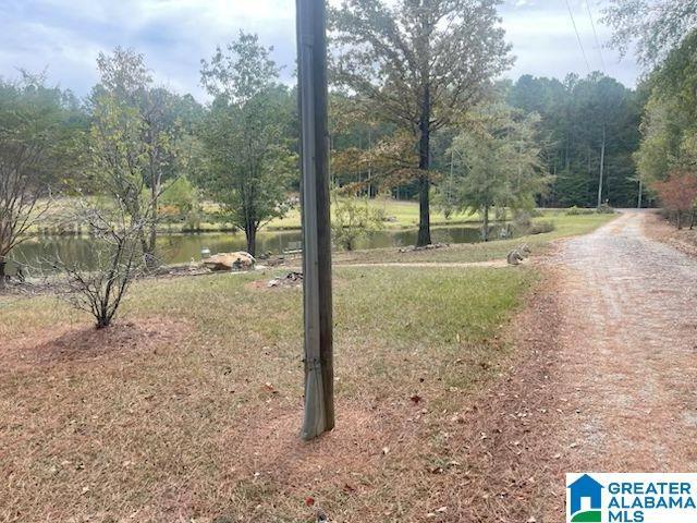 136 Lillie Bell Ln #1, Chelsea, AL 35043