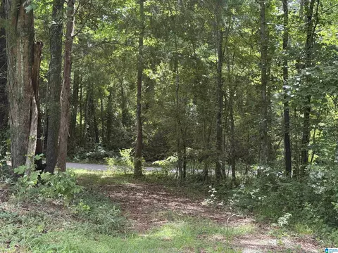402 Mountain Dr, Remlap, AL 35133 photo 34