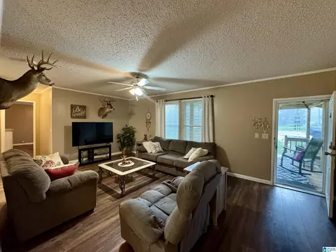 402 Mountain Dr, Remlap, AL 35133 photo 13