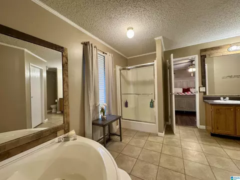 402 Mountain Dr, Remlap, AL 35133 photo 12