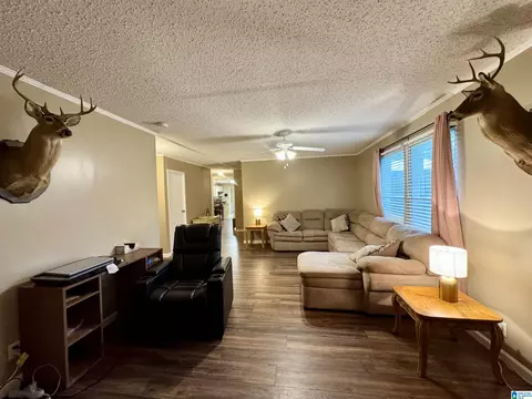 402 Mountain Dr, Remlap, AL 35133 photo 19
