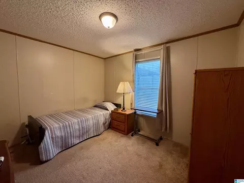 402 Mountain Dr, Remlap, AL 35133 photo 17