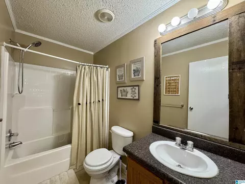 402 Mountain Dr, Remlap, AL 35133 photo 22