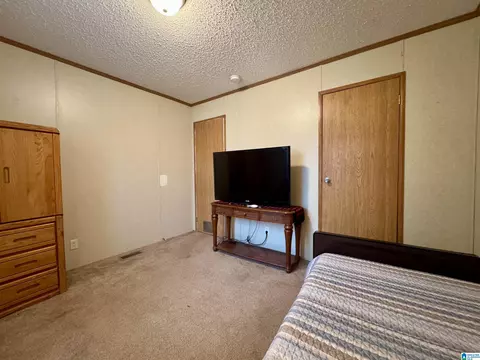 402 Mountain Dr, Remlap, AL 35133 photo 16