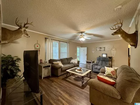 402 Mountain Dr, Remlap, AL 35133 photo 14