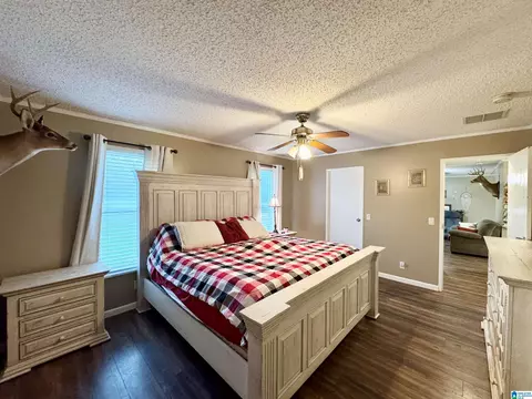 402 Mountain Dr, Remlap, AL 35133 photo 9