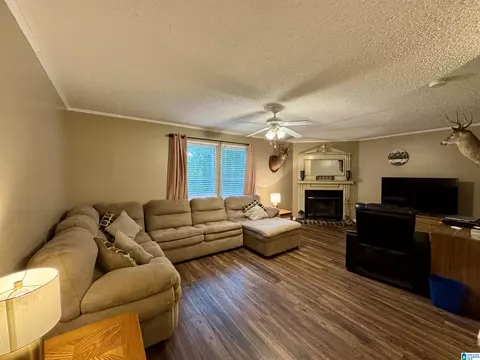 402 Mountain Dr, Remlap, AL 35133 photo 3