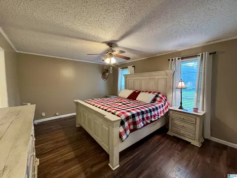 402 Mountain Dr, Remlap, AL 35133 photo 10