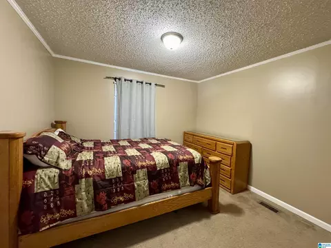402 Mountain Dr, Remlap, AL 35133 photo 23