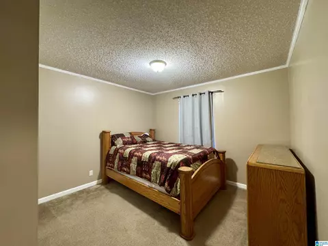 402 Mountain Dr, Remlap, AL 35133 photo 24
