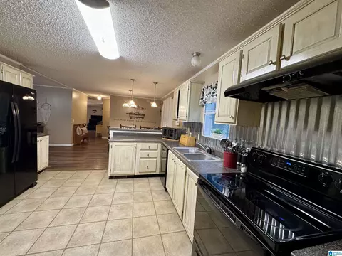 402 Mountain Dr, Remlap, AL 35133 photo 6